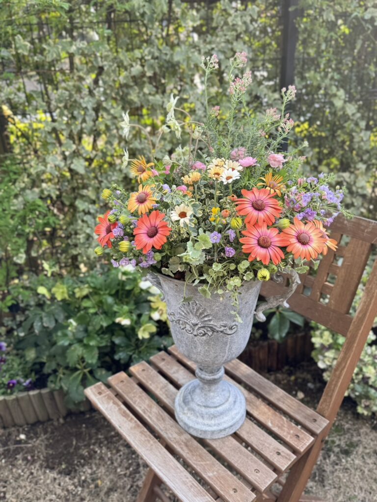 春のギャザリング