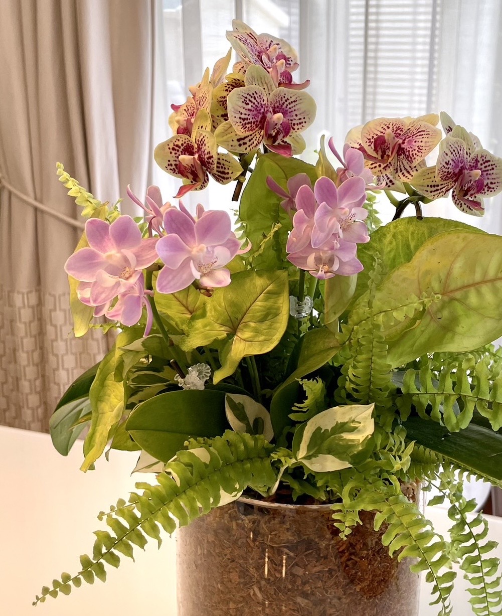 祝い花にギャザリングを選ぶべき理由