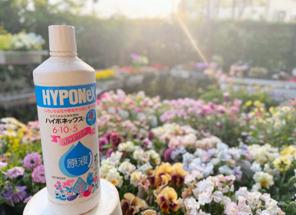 液体肥料と活力剤何が違うの?